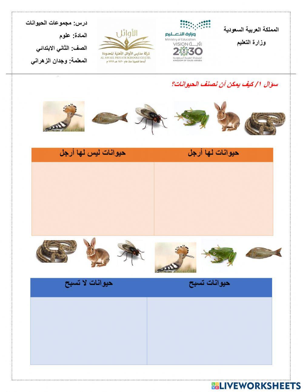 مجموعات الحيوانات