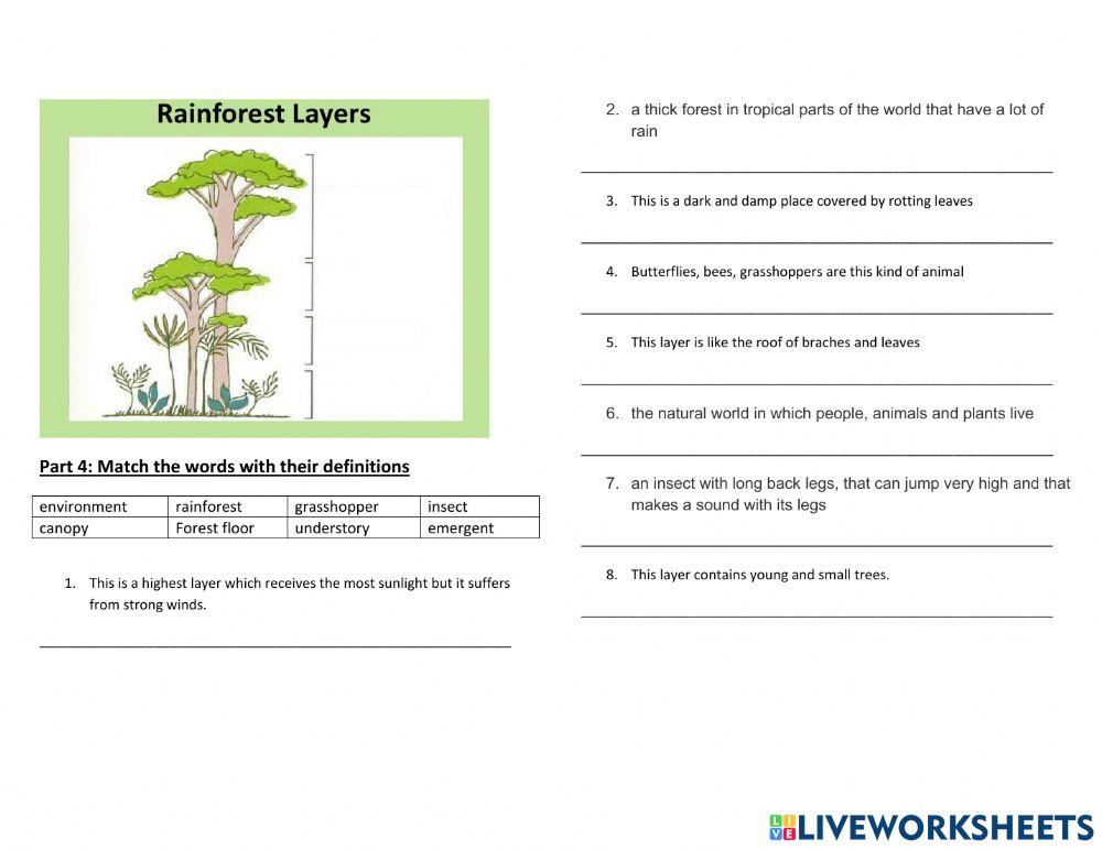 G3 U2A In The Forest