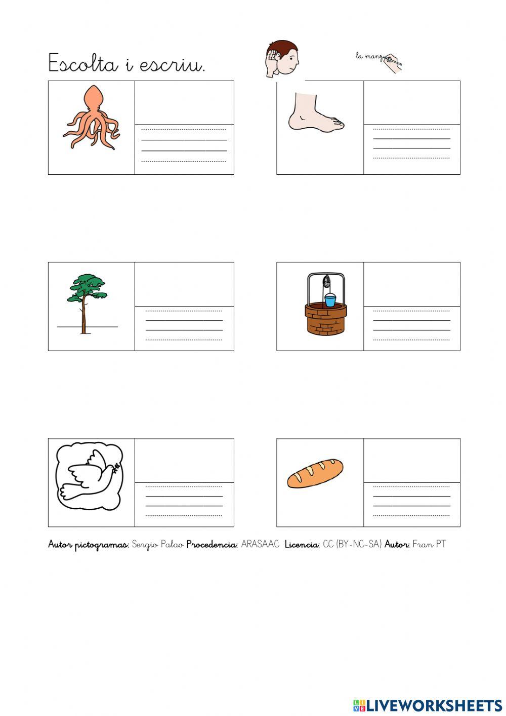 Escriure paraules amb p.