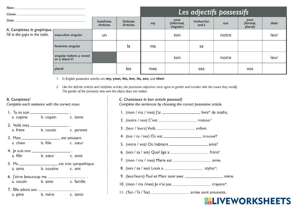 Possessive Adjectives with Family
