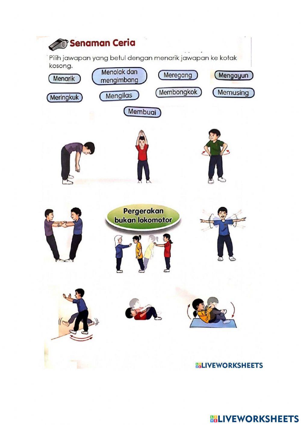 Pergerakan bukan lokomotor