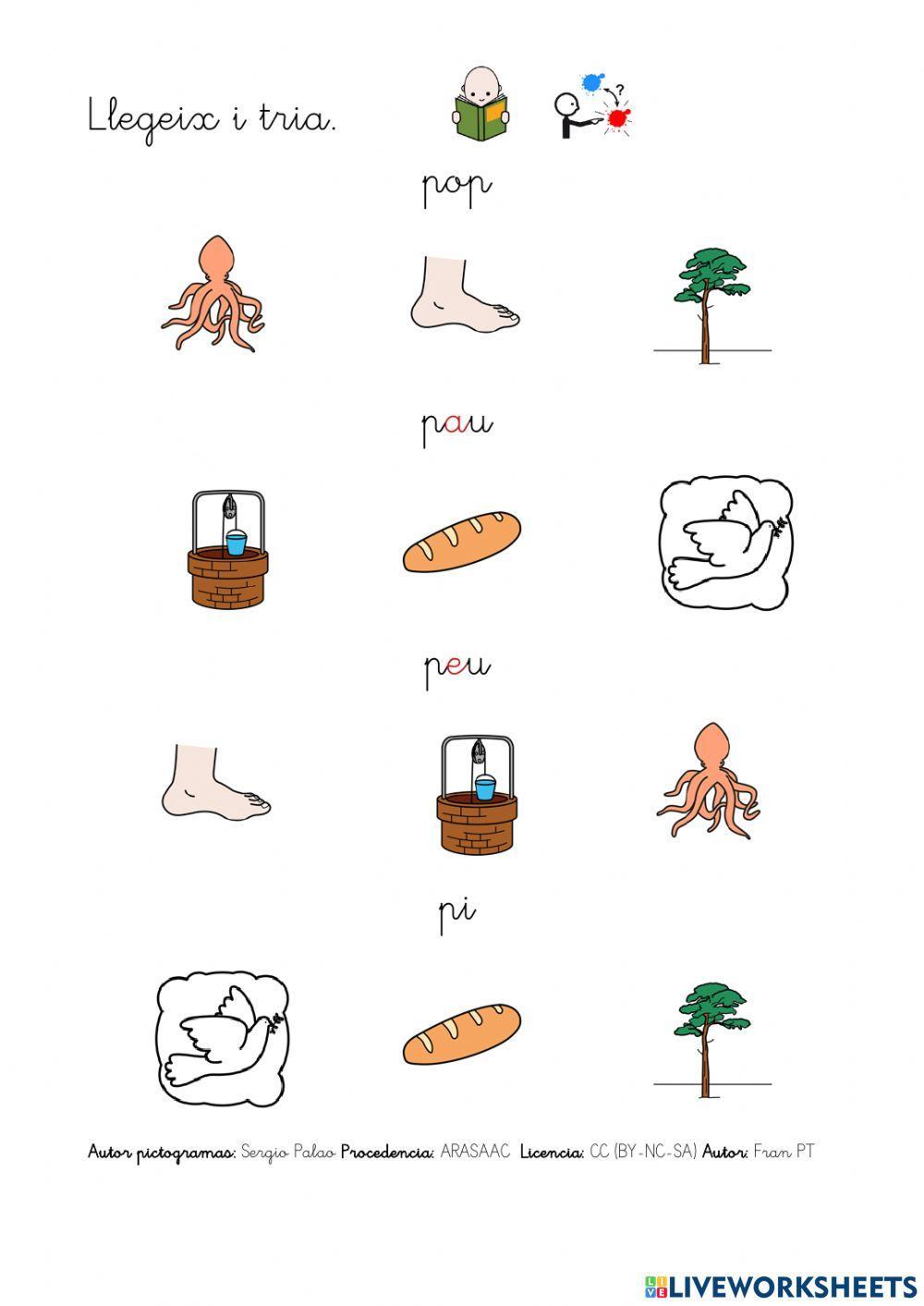 Llegir paraules amb p.