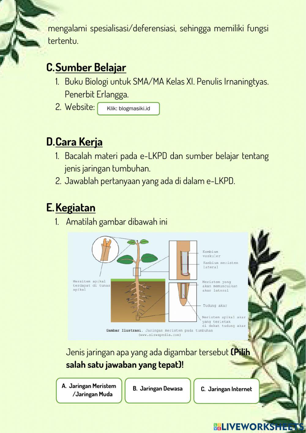 LKPD Struktur dan Fungsi Jaringan Tumbuhan