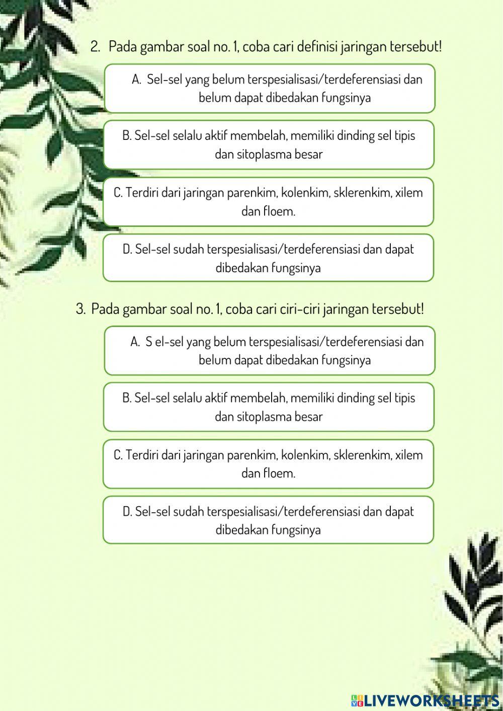 LKPD Struktur dan Fungsi Jaringan Tumbuhan