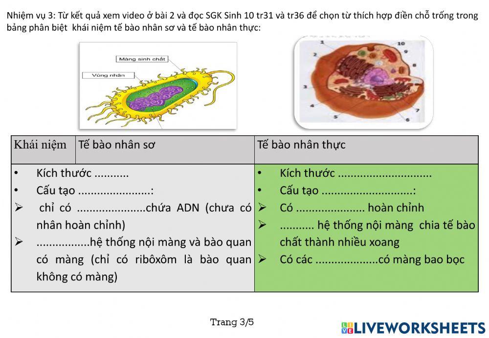 Phần 1Tế bào nhân sơ và tế bào nhân thực