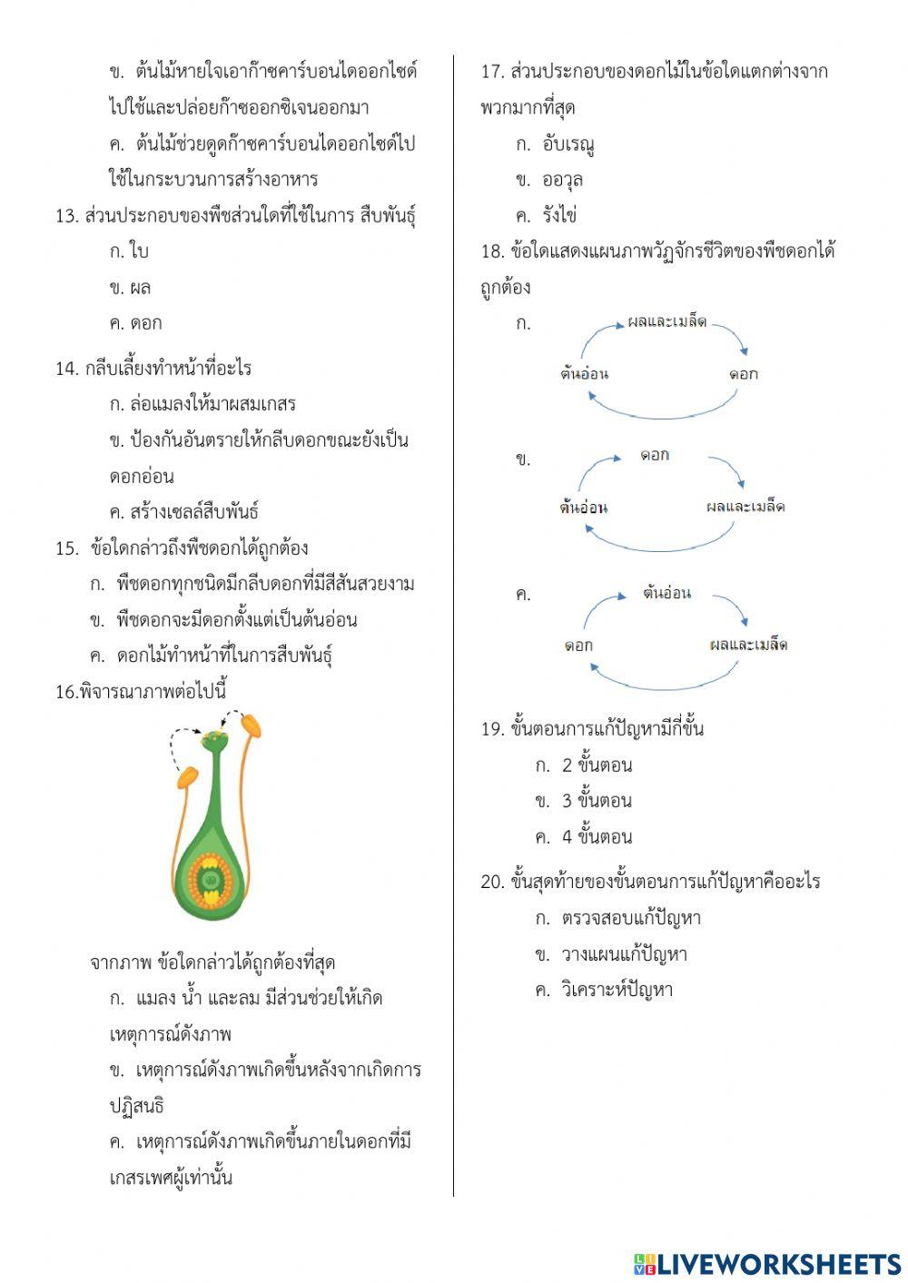 แบบทดสอบทบทวนความรู้ในหน่วยการเรียนรู้ที่1-3