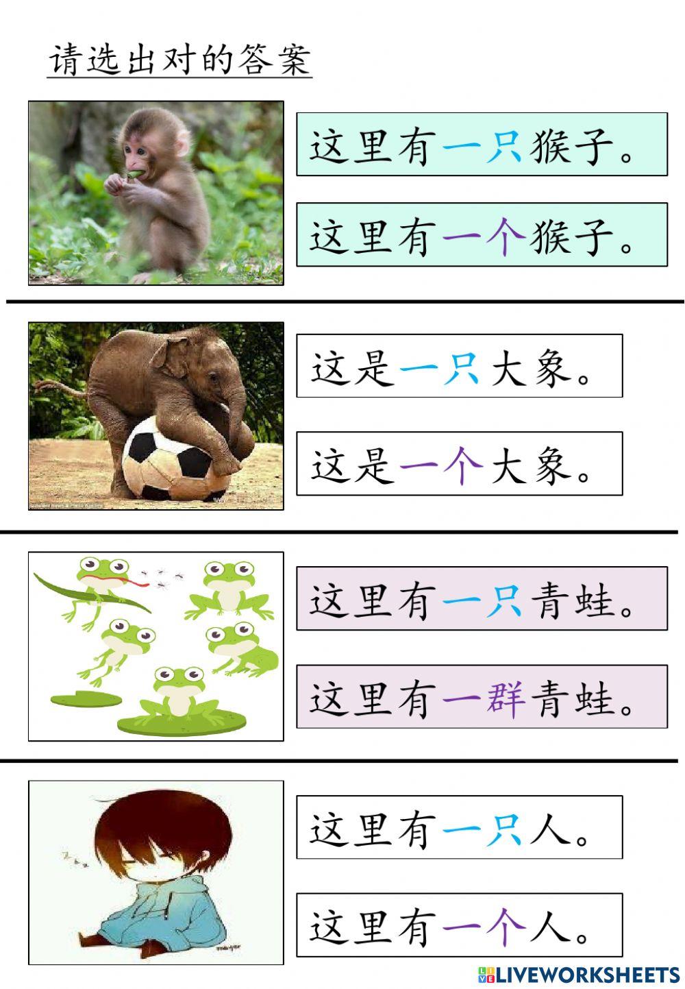 量词：一只一个一群