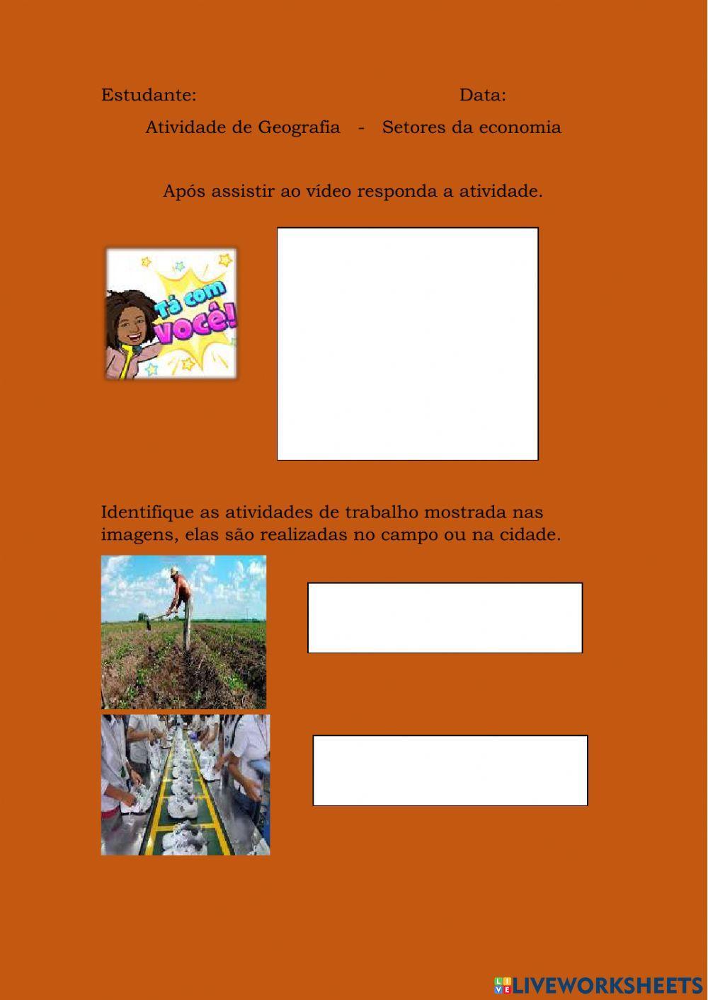 Como se estruturam as atividades econômicas de um país