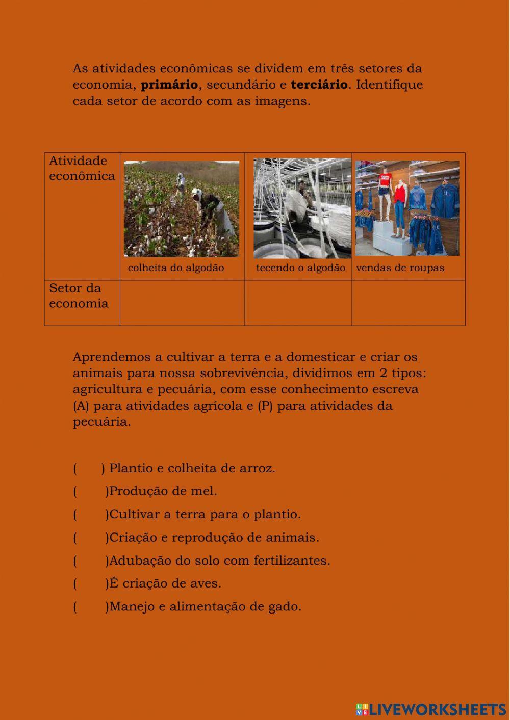 Como se estruturam as atividades econômicas de um país
