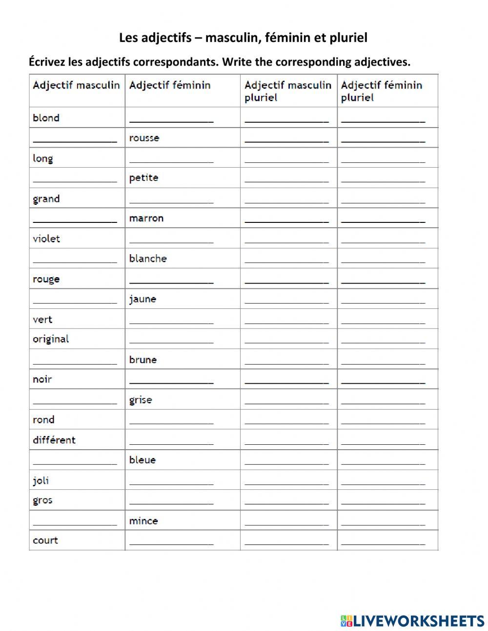 Adjectives féminin pluriel