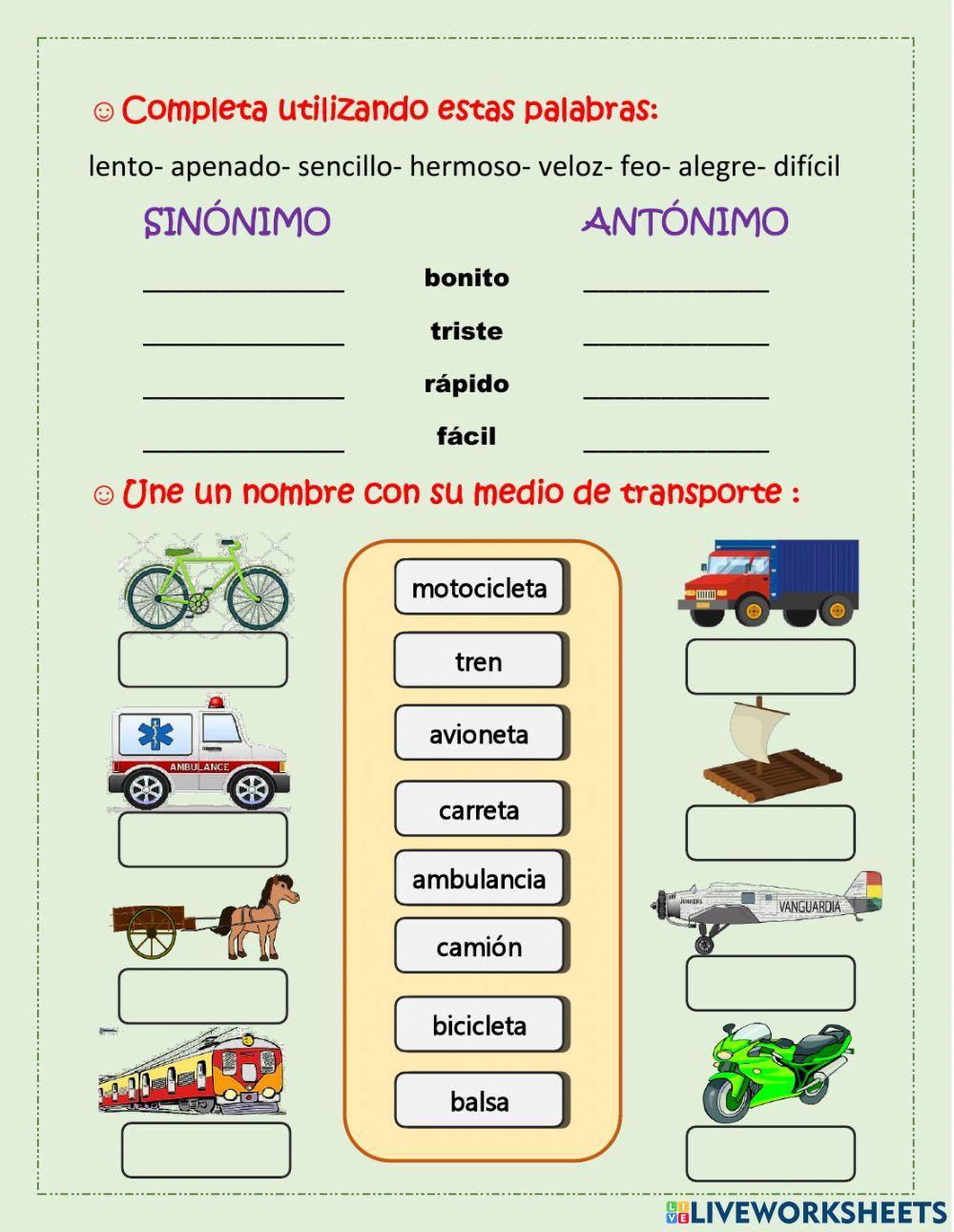 Sinónimos - antónimos - homónimos