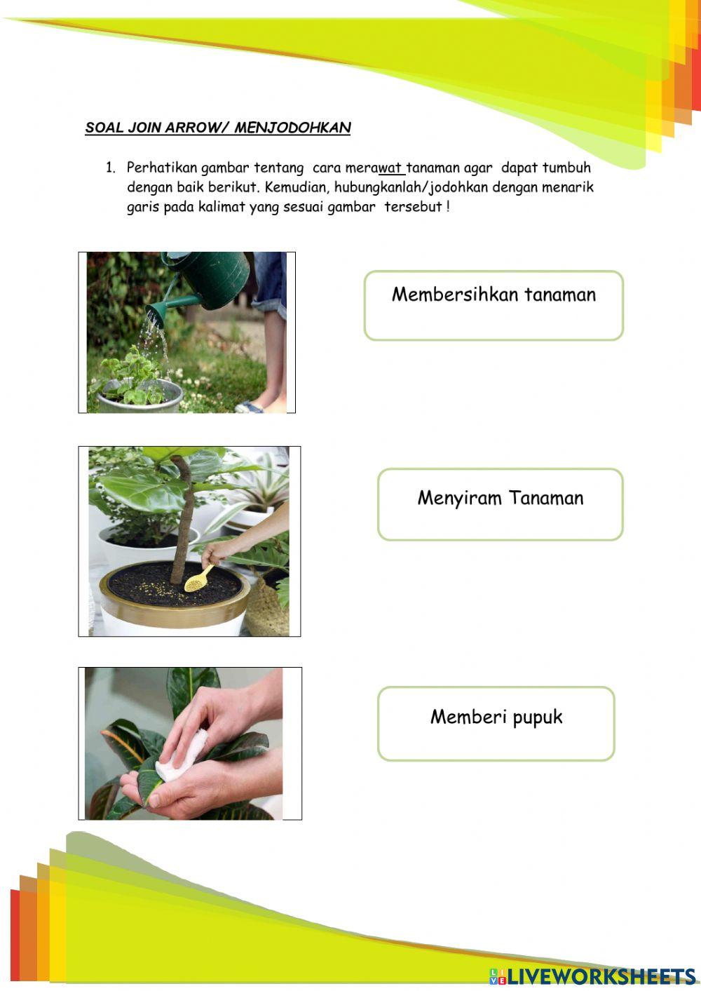 Lkpd interaktifpembelajaran ips sd