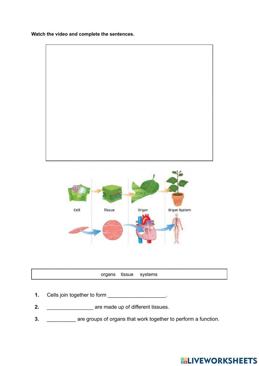 The organization of living things