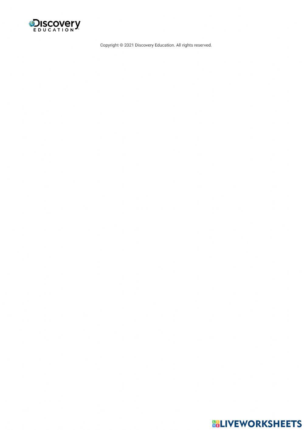 Digestion and Absorption in the Human Body