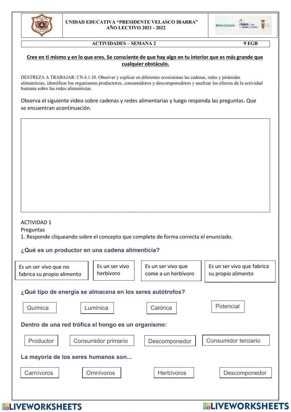 Las cadenas y redes tróficas
