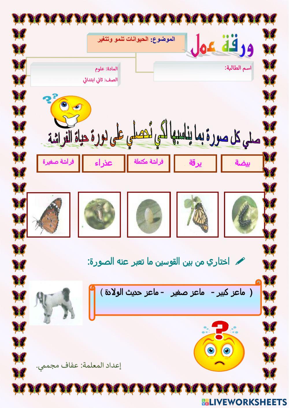 الحيوانات تنمو وتتغير