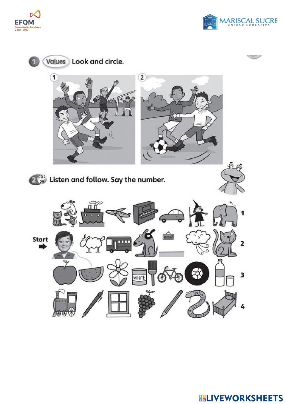 Workbook activities pages 50-51 and 53