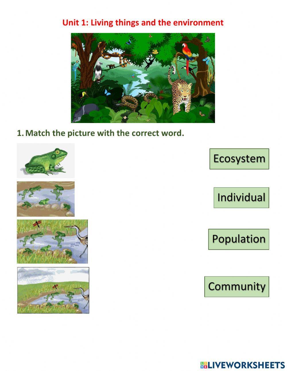Individuals vs Population