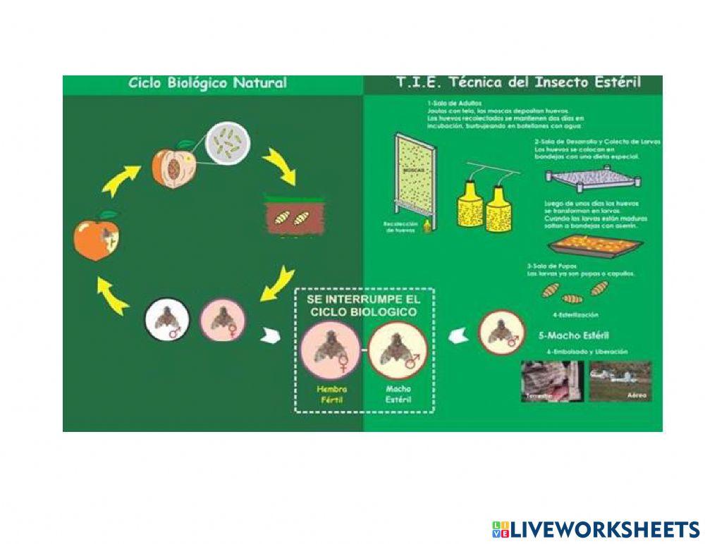 Ciclo biologico natural