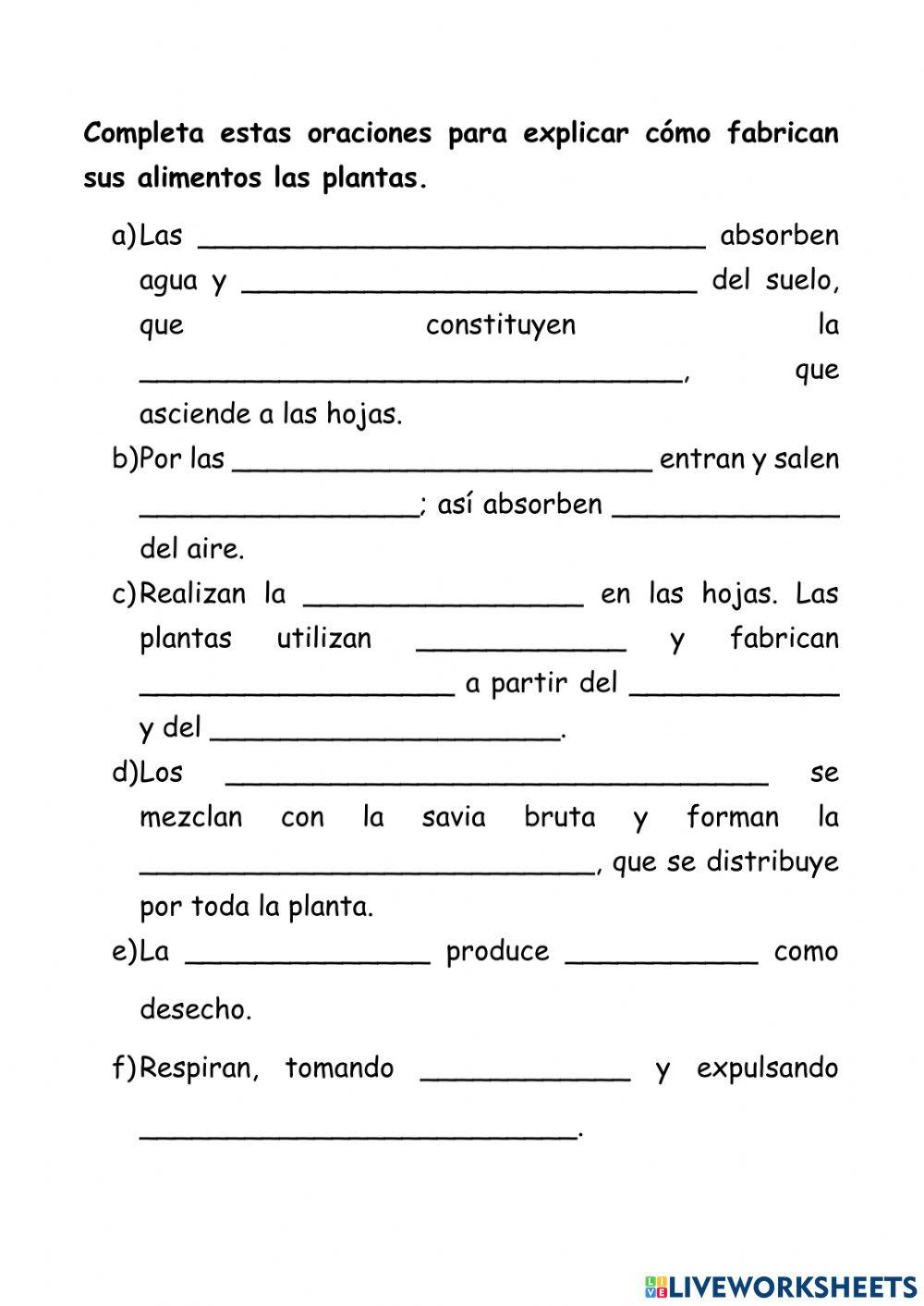 La nutrición de las plantas