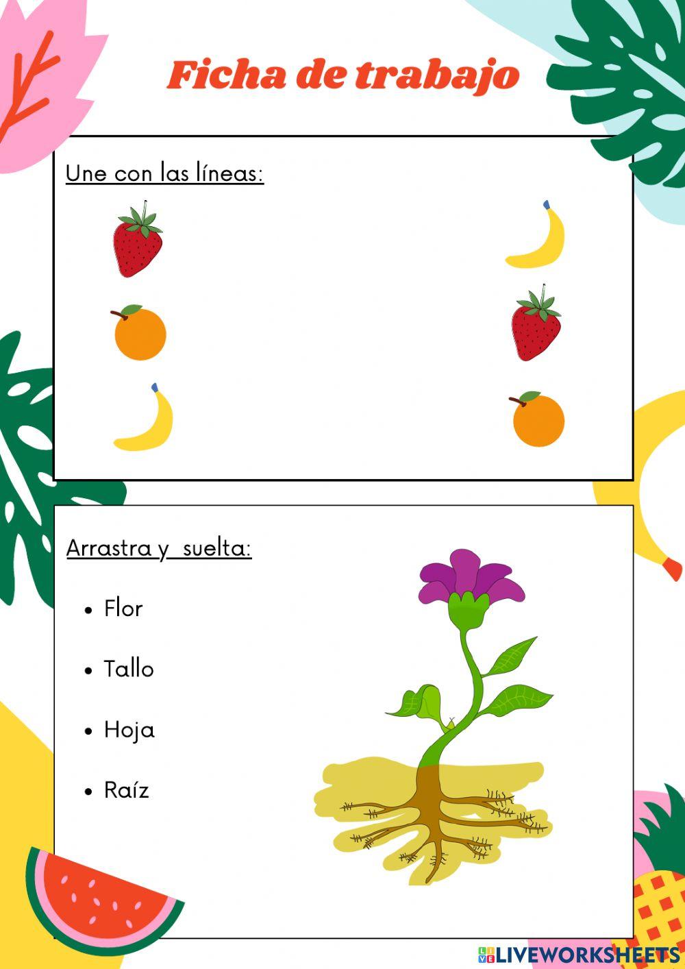 IPNM-Ficha de trabajo
