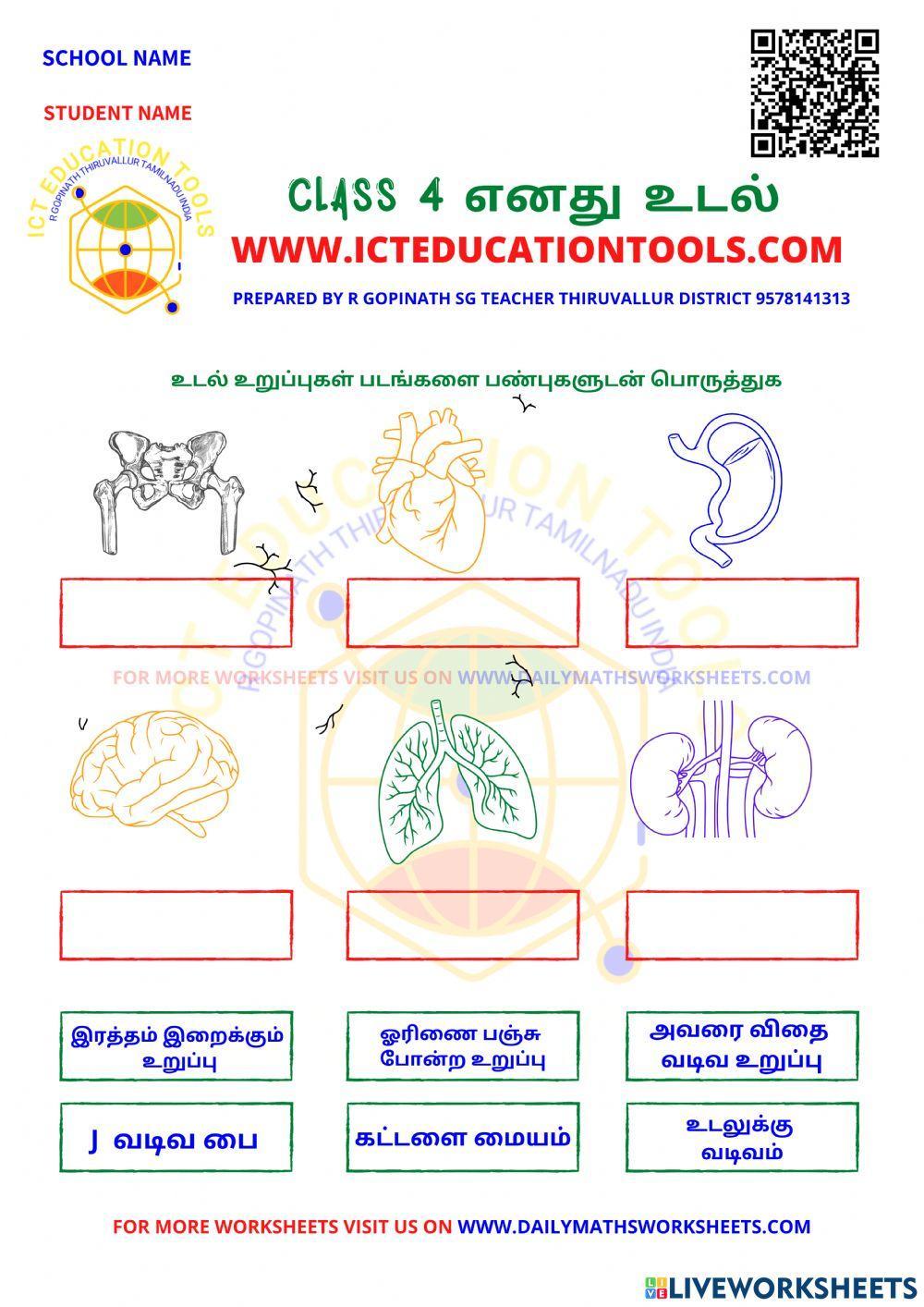 Class 4 எனது உடல்