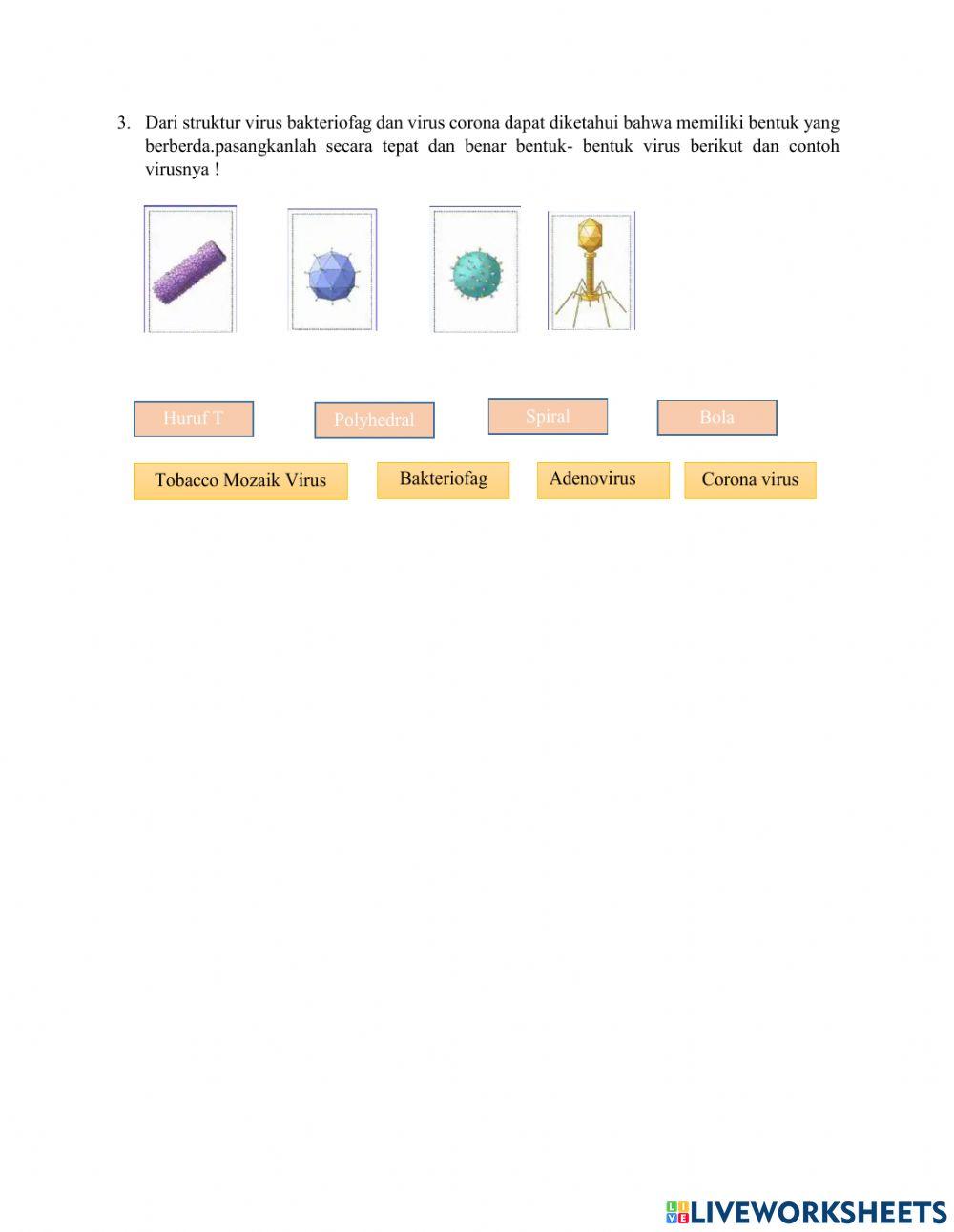 LKPD Virus berbasis Problem Based Learning