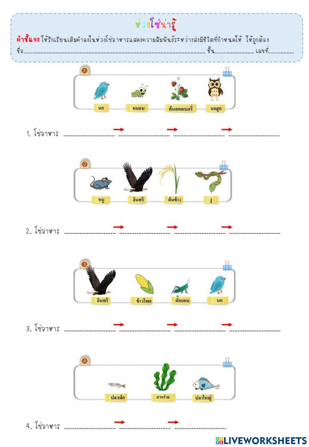 ห่วงโซ่อาหาร ป.5