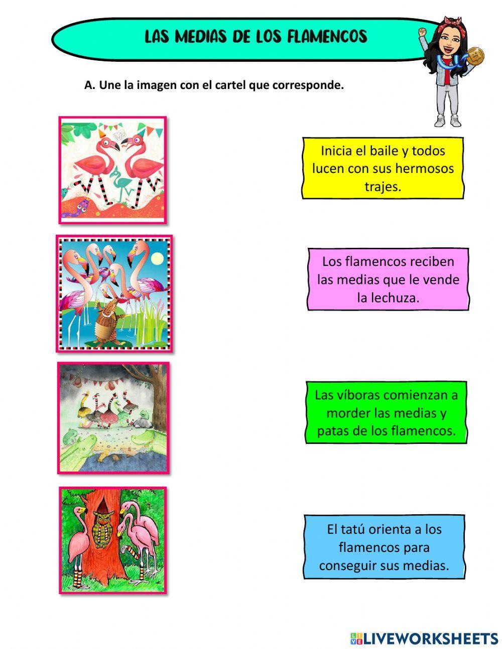 Lecrtura: las medias de los flamencos