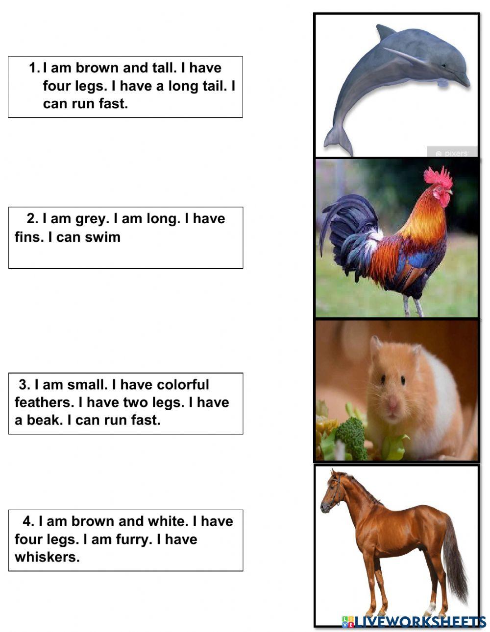 Describing 4 animals