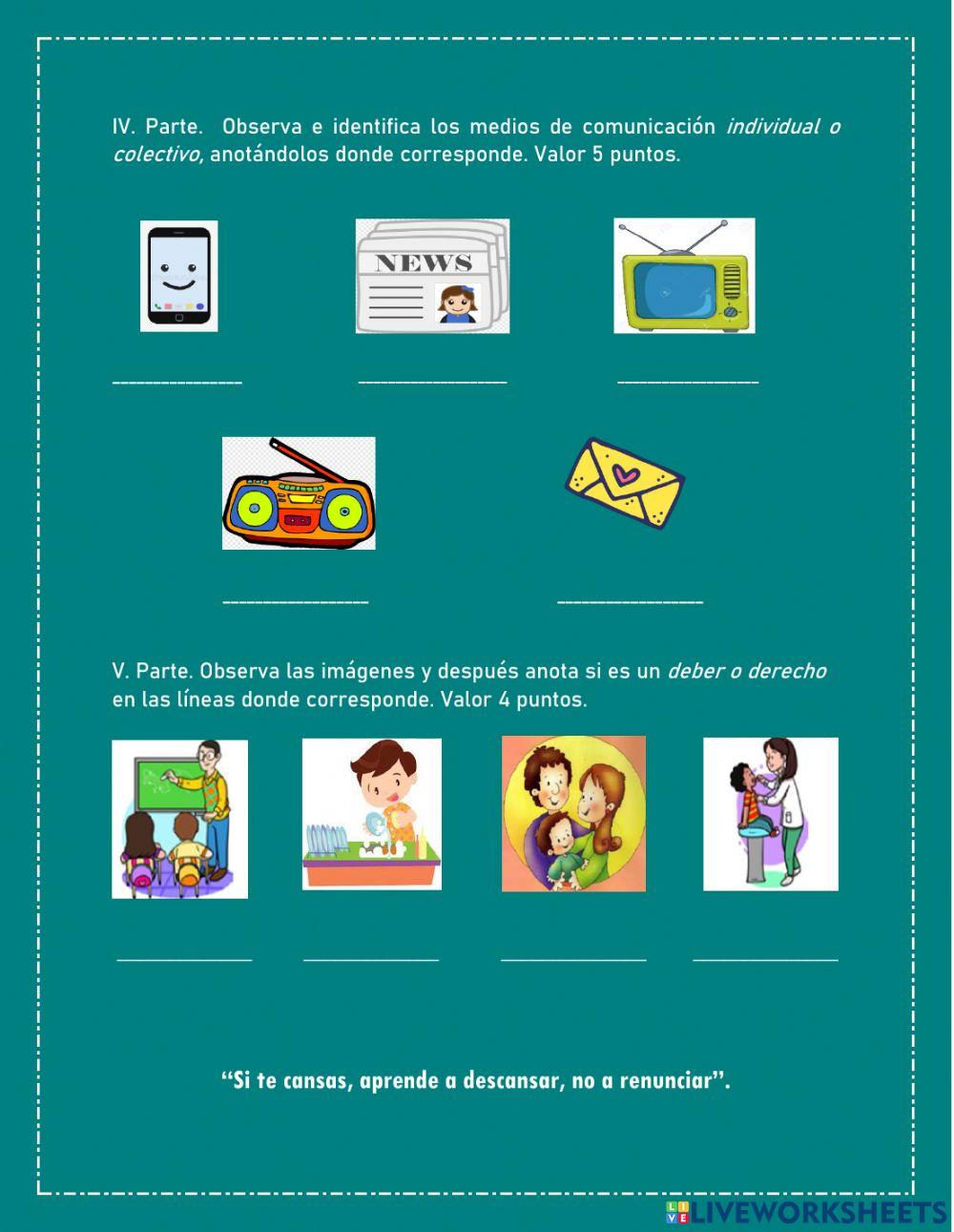 Trimestral Sociales nee