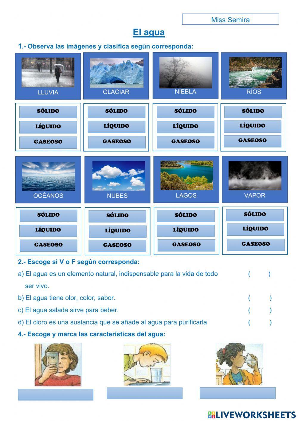 El agua y sus características