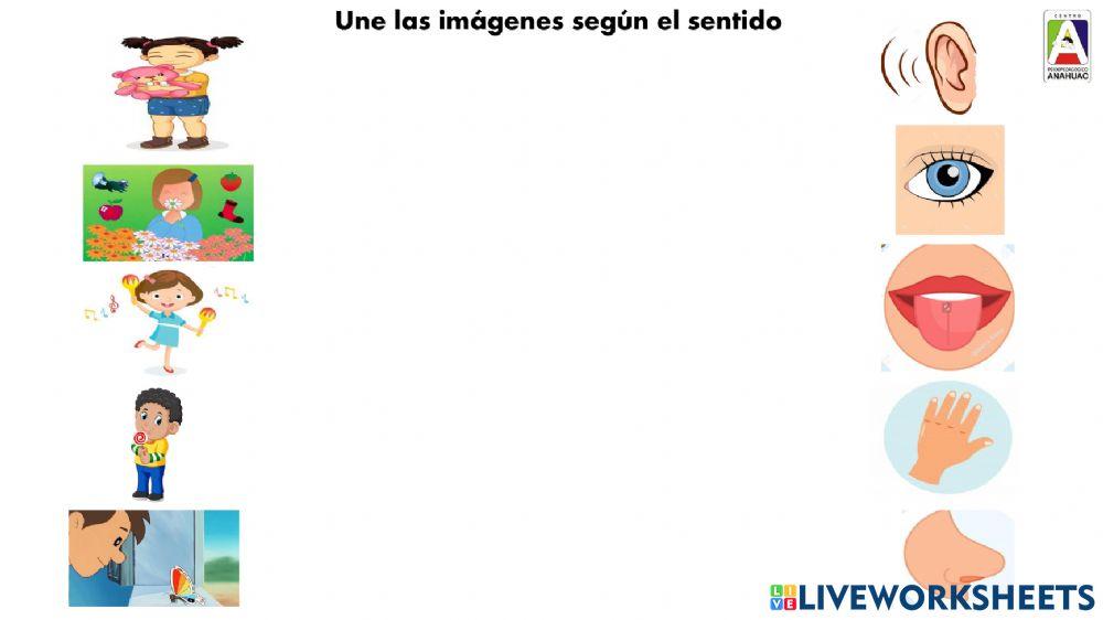 Exploracion y comprension del mundo natural y social