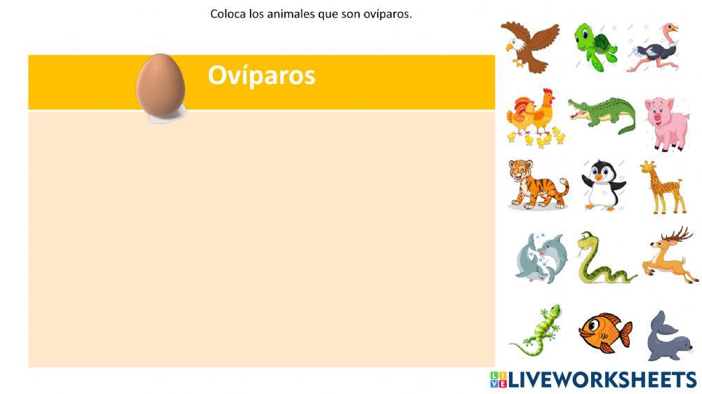 Los animales