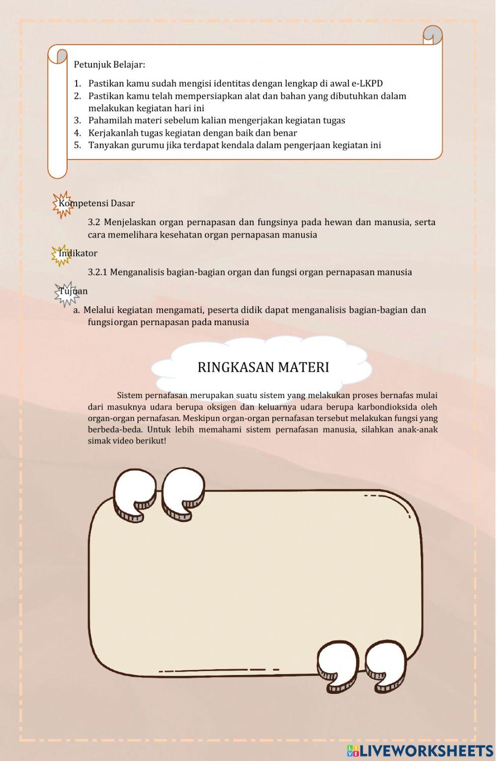 Sistem Pernapasan Manusia