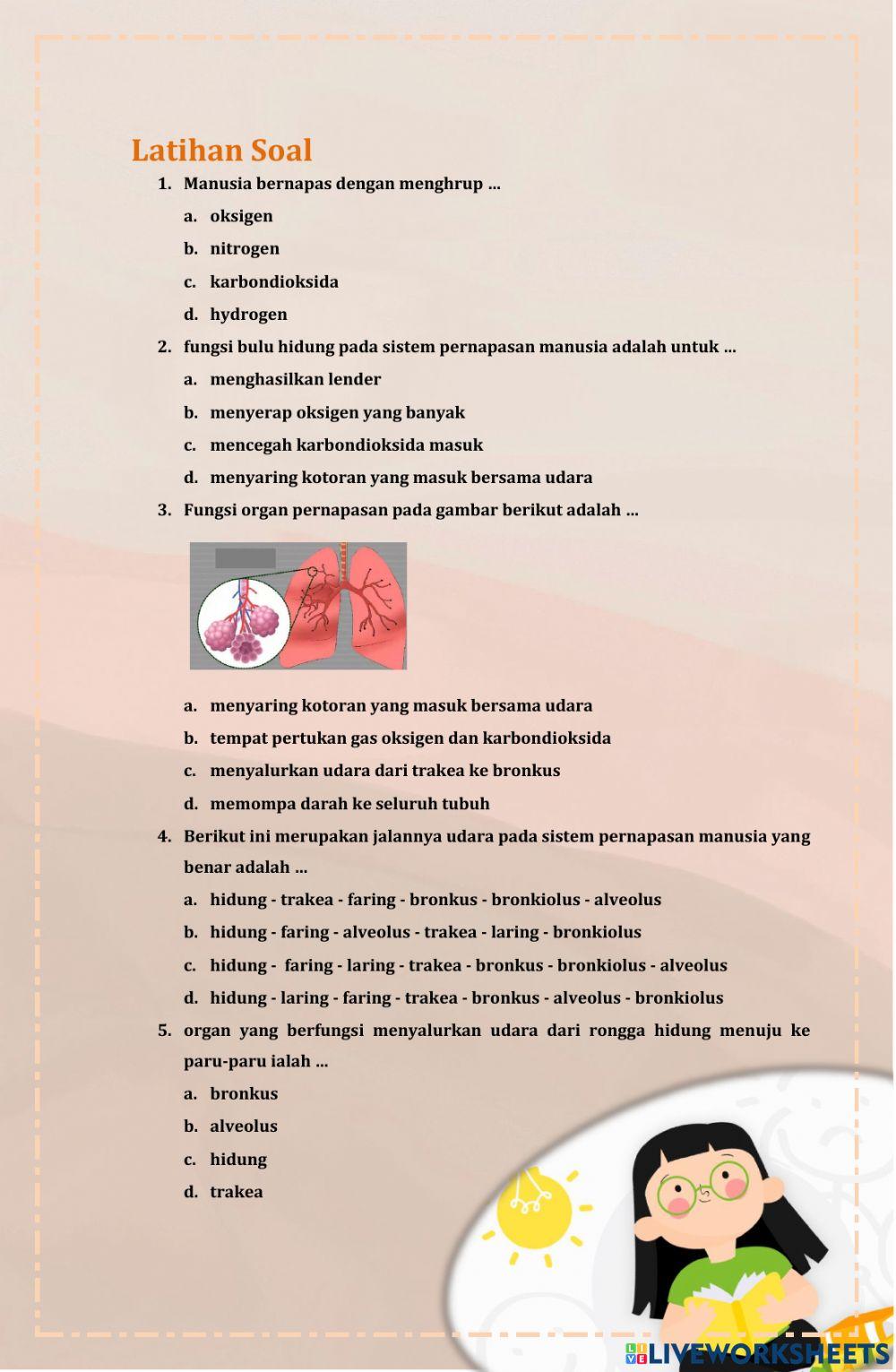 Sistem Pernapasan Manusia