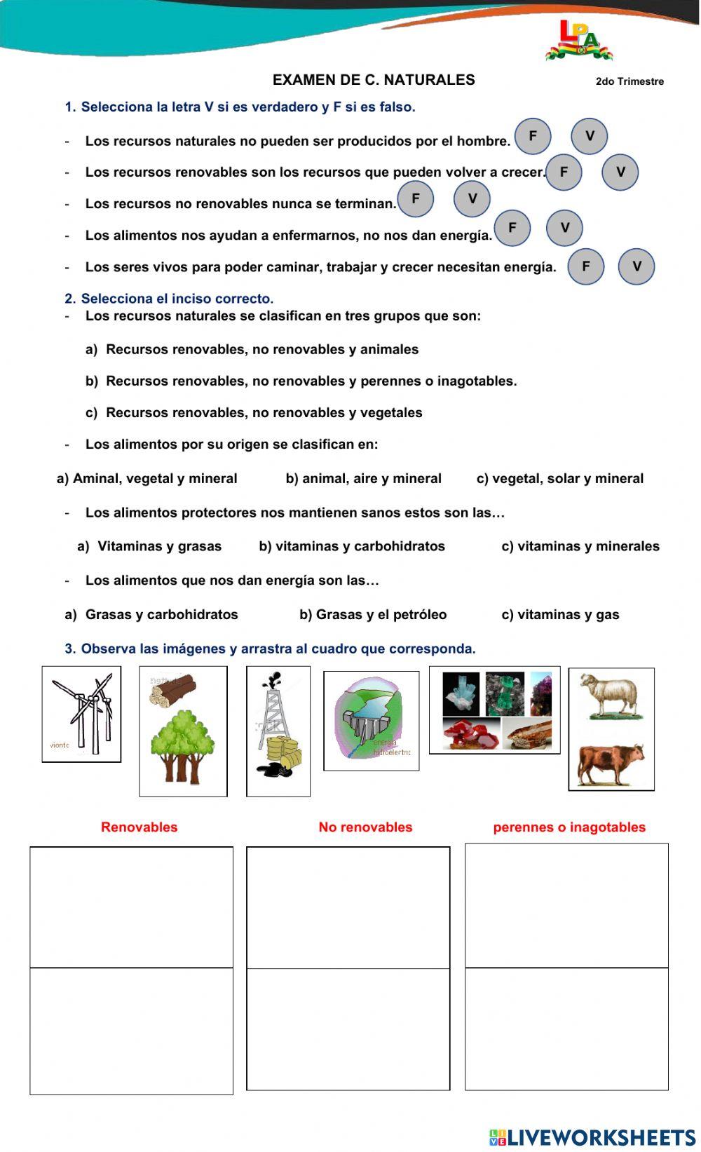 Evaluación - C. Naturales