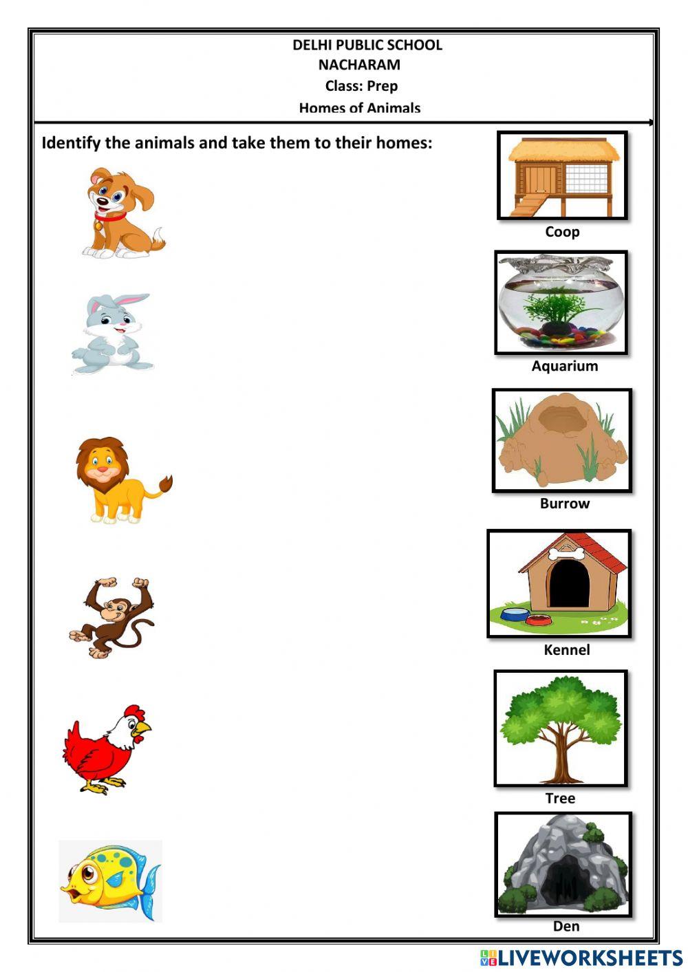 Homes of animals worksheet | Live Worksheets