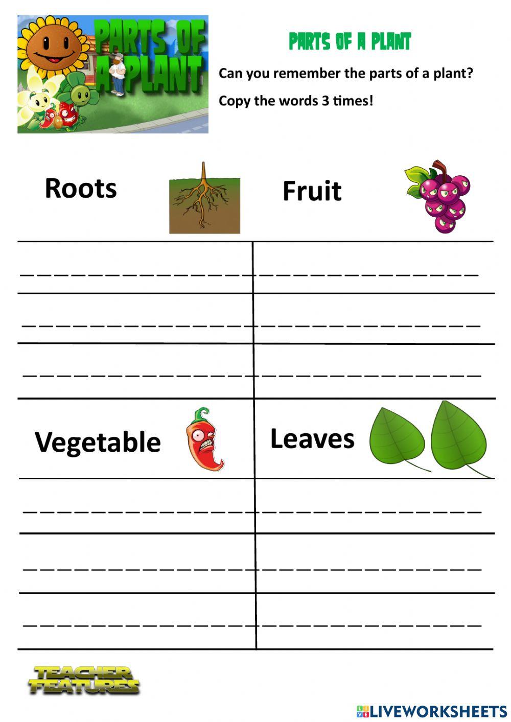 Parts of a Plant - Spelling