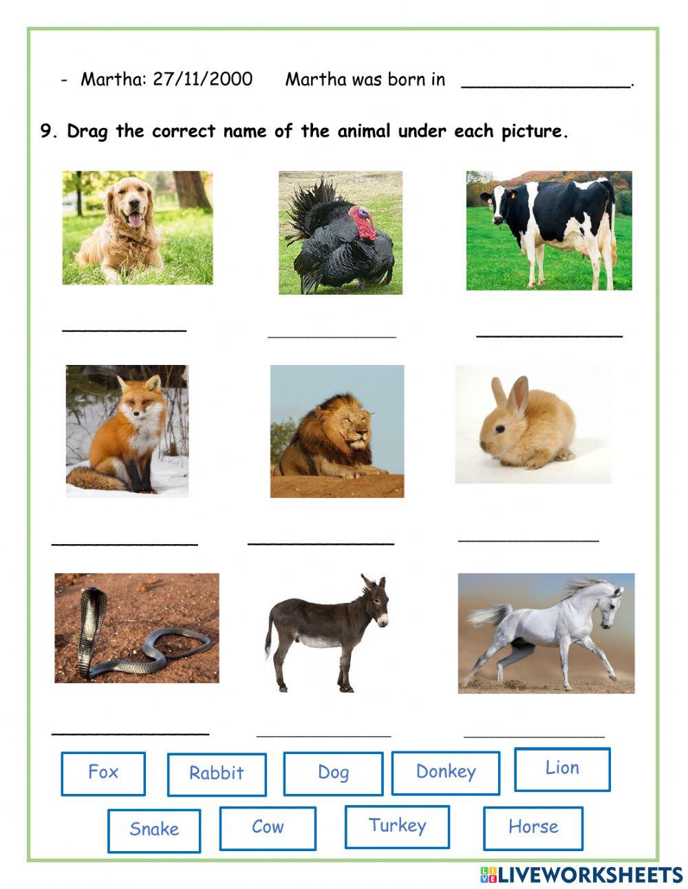 Evaluación Final Inglés