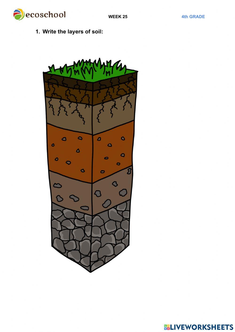 Layers of soil