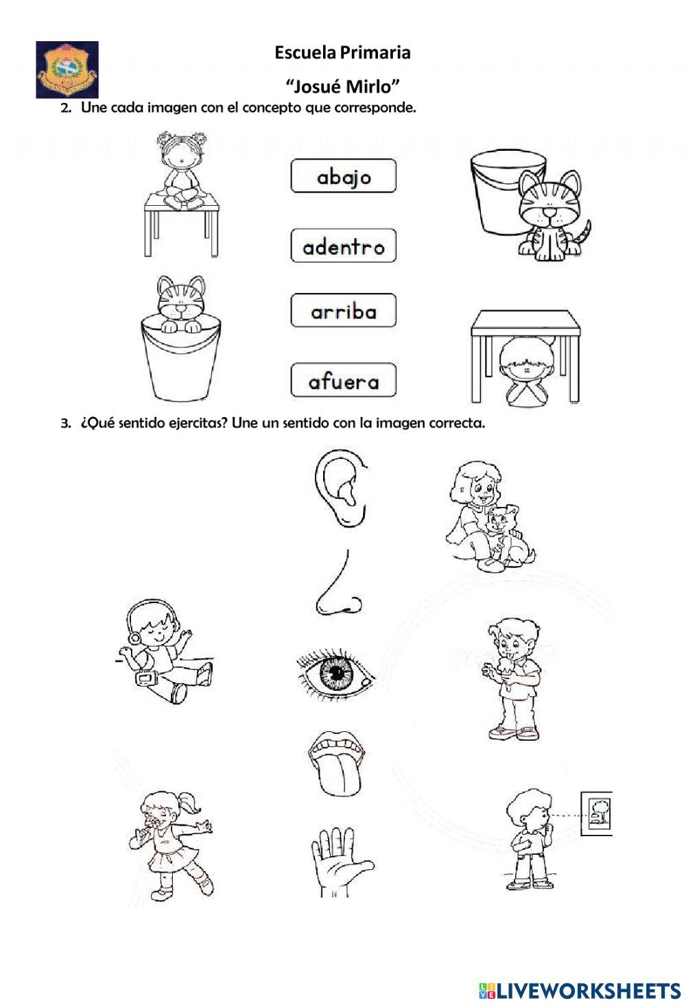 Examen Diagnostico 2