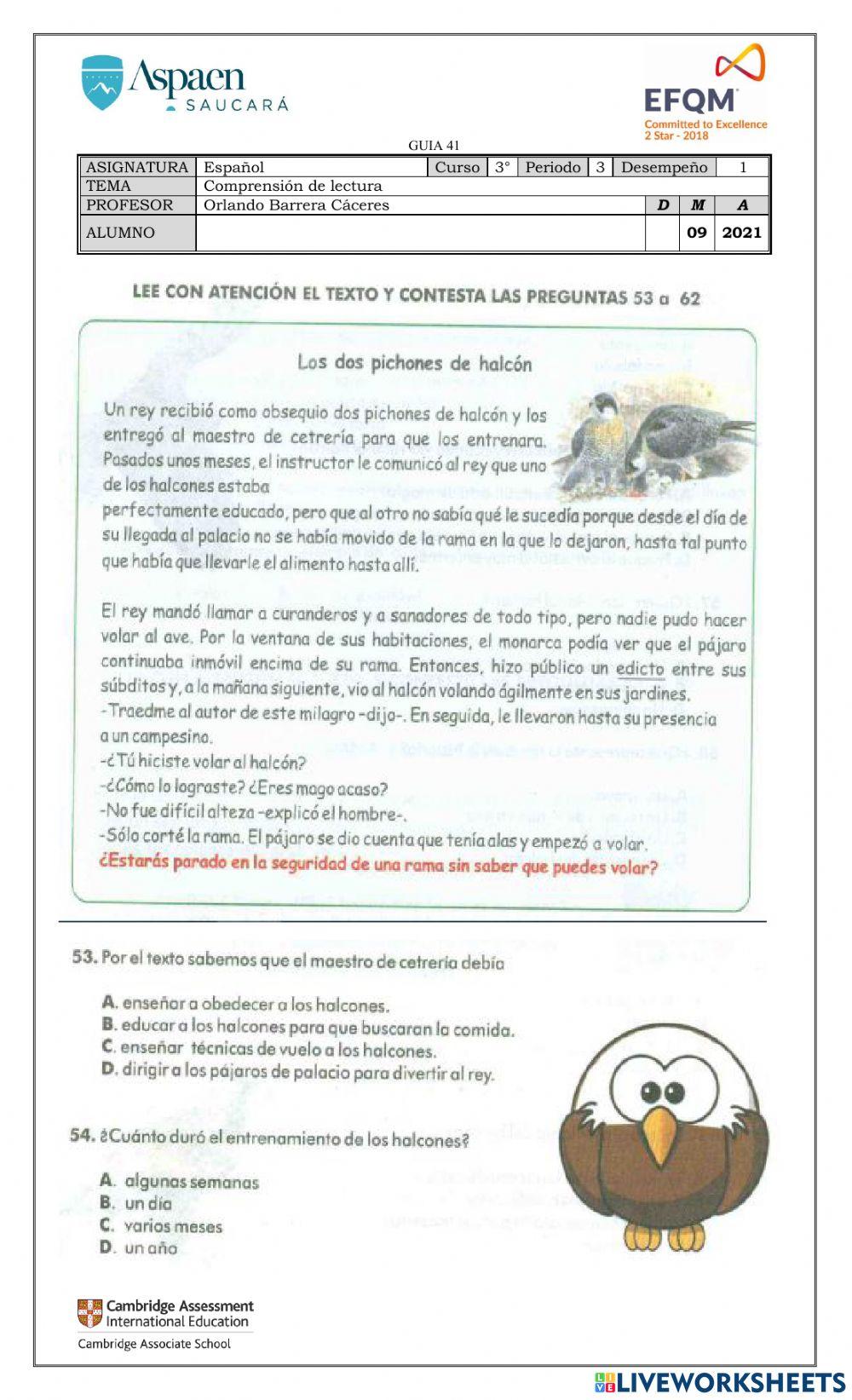 Comprension de elctura Comprension de elctura