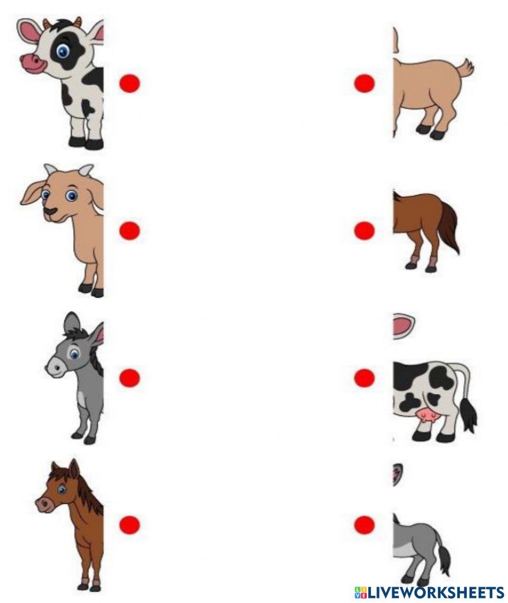 Kids activity for kids | Live Worksheets