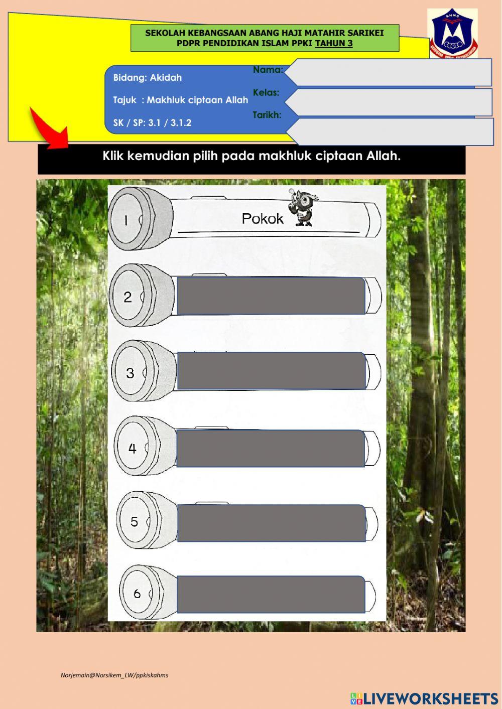 M31  AK3.1.2 ciptaan Allah PI PPKI THN 3