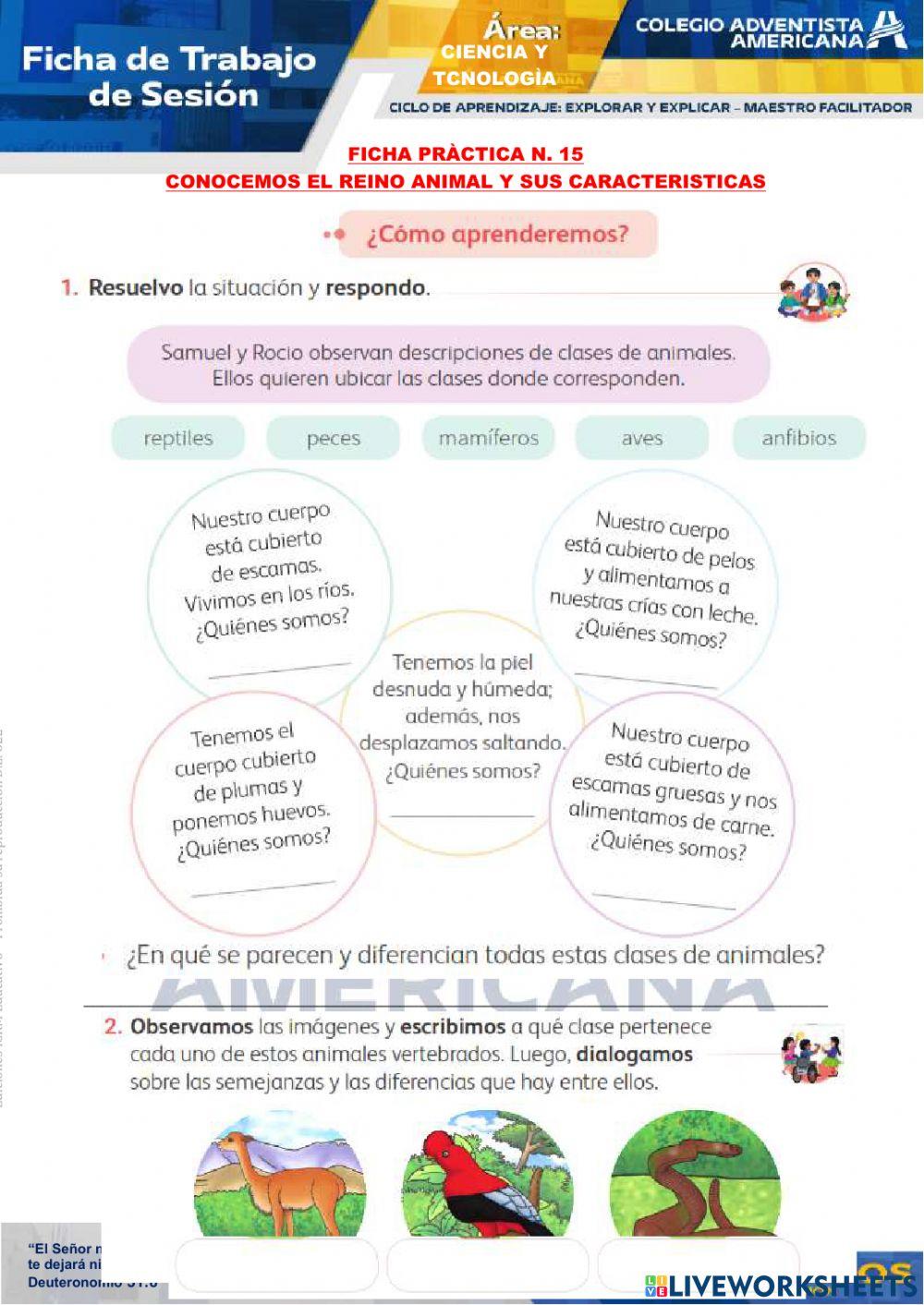 ANIMALES VERTEBRADOS