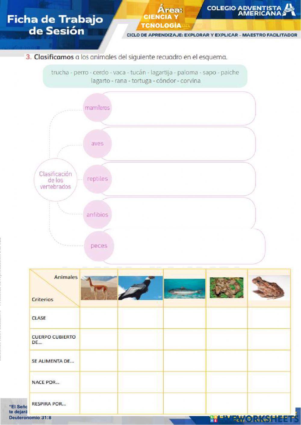 ANIMALES VERTEBRADOS