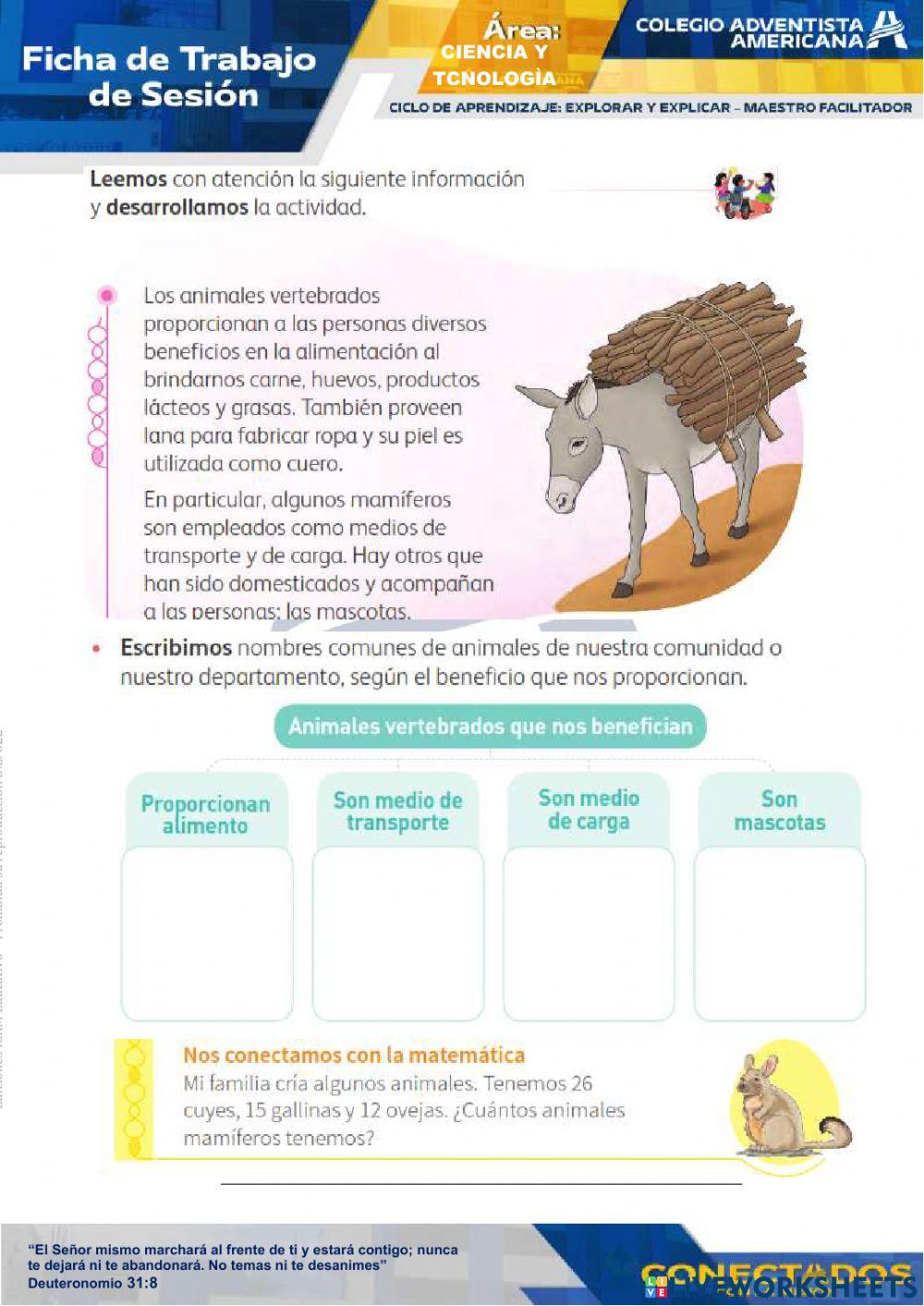 ANIMALES VERTEBRADOS