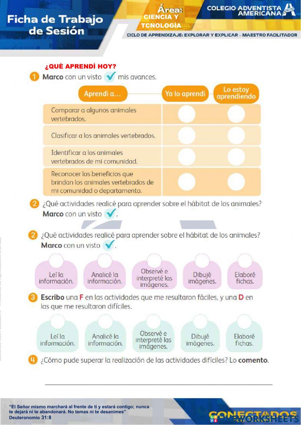 ANIMALES VERTEBRADOS