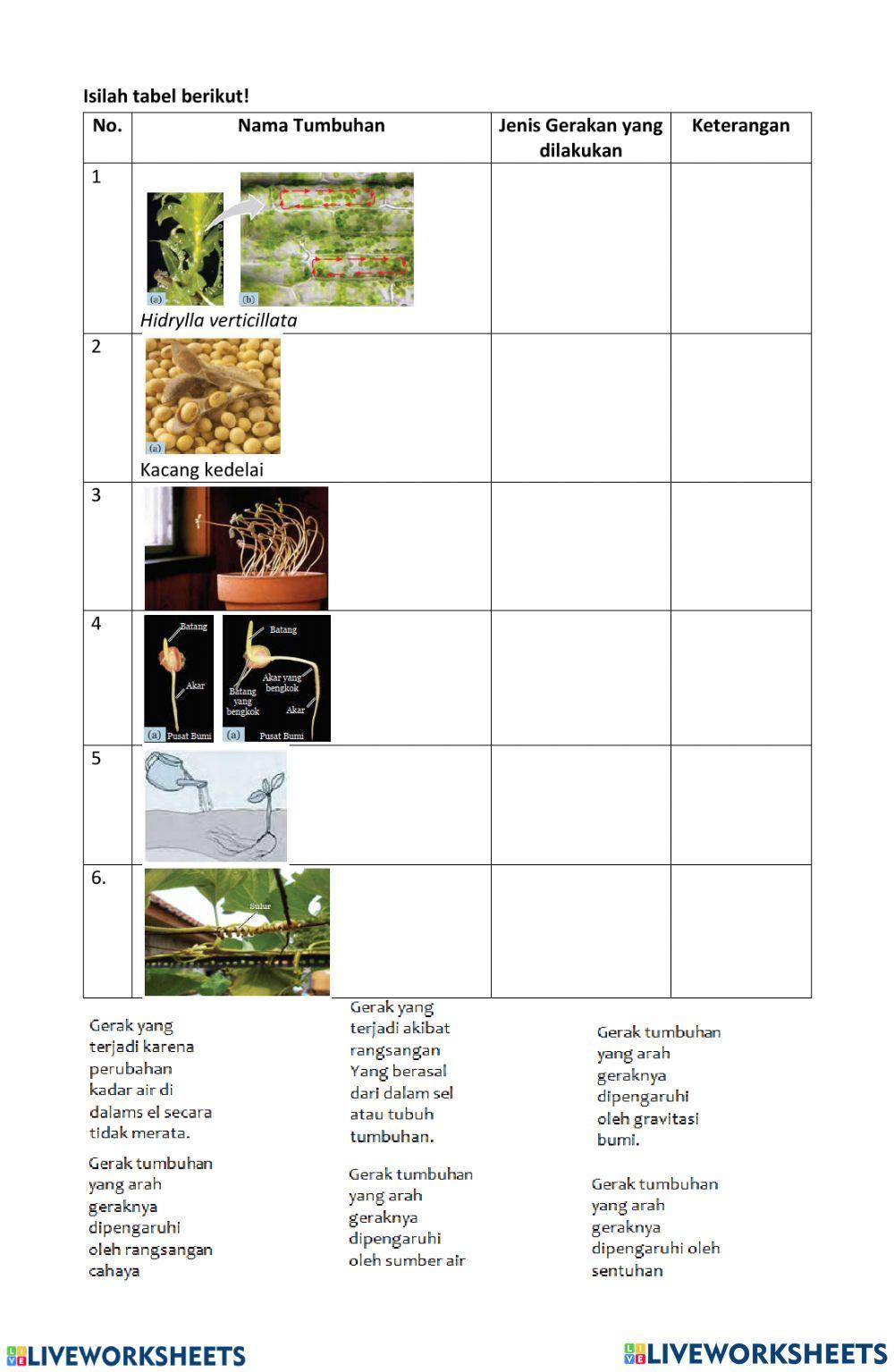 Gerak hewan dan tumbuhan
